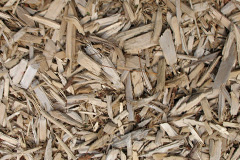 biomass boilers Rhydwyn